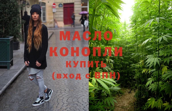 молекула духа Михайловск