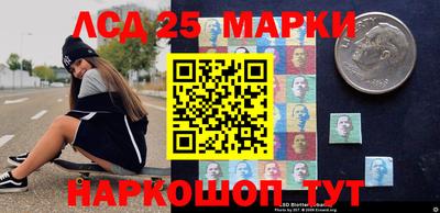 прущие грибы Будённовск