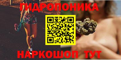 прущие грибы Будённовск