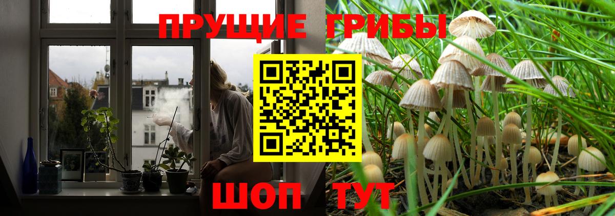Галлюциногенные грибы мицелий  Каменск-Шахтинский  Галлюциногенные грибы ЛСД 