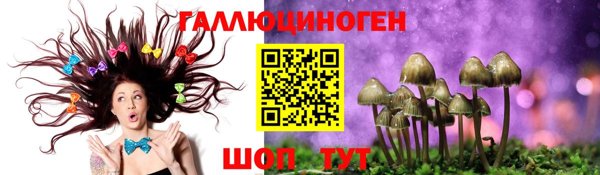 Галлюциногенные грибы Cubensis Каменск-Шахтинский